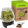 Germinador de pote Twist-off com sementes de rabanete - 5 