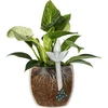 Irrigador para plantas – folha transparente, 120 ml - 5 