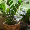 Irrigador para plantas – folha transparente, 120 ml - 7 