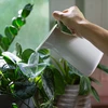 Irrigador para plantas – folha transparente com pé de cerâmica, 120 ml - 8 