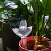 Irrigador para plantas – folha transparente com pé de cerâmica, 120 ml - 10 