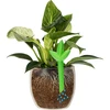 Irrigador para plantas – folha verde, 120 ml - 5 