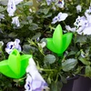 Irrigador para plantas – folha verde, 120 ml - 8 