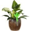 Irrigador para plantas – folha verde com pé de cerâmica, 120 ml - 6 