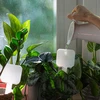 Irrigador para plantas - placa branca com perna de cerâmica, 200 ml - 8 