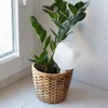 Irrigador para plantas - placa branca com perna de cerâmica, 200 ml - 9 
