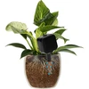 Irrigador para plantas – placa preta com pé de cerâmica, 200 ml - 6 