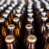 Kit para cerveja - polonesa lupulada, 20 L - 11 