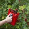 Máquina para colher pequenas frutas - 8 