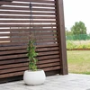 Pérgola de metal - Pirâmide, 135 cm - 4 