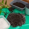 Perlita para plantas em vasos e jardinagem, 2L - 7 