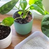 Perlita para plantas em vasos e jardinagem, 2L - 8 