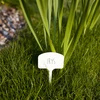 Plaquetas para descrever plantas + lápis mix 10+20 unid. - 6 