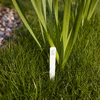 Plaquetas para descrever plantas + lápis mix 10+20 unid. - 7 