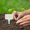 Plaquetas para descrever plantas + lápis mix 10+20 unid. - 10 