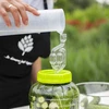 Pote inquebrável para fermentação, 3 L - 5 