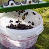 Recipiente de fermentação 30 L com tampa e torneira - 17 