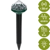 Repelente solar de toupeiras com lâmpada LED - 7 