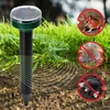 Repelente solar de toupeiras – proteção eficaz, segura e humanitária para o jardim, 1 un. - 11 