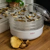 Secador de cogumelos, frutas, vegetais e ervas 125 W - 10 