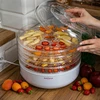 Secador de cogumelos, frutas, vegetais e ervas 125 W - 12 
