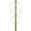Suporte anelar para plantas, 3 anéis, 0,5 m ['suporte para plantas', ' suporte anelar para arbustos', ' suporte de jardim', ' suporte para rosas', ' pérgola de jardim', ' braçadeira para plantas', ' estaca para plantas', ' suporte para flores', ' suporte para plantas de vaso', ' suporte para hortênsias', ' suporte para mirtilos', ' suporte para trepadeiras', ' suporte verde', ' suporte para plantas verde-escuro', ' suporte de aço para plantas com anéis']