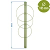 Suporte anelar para plantas 3 anéis 0,5m - 2 