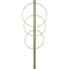 Suporte anelar para plantas, 3 anéis, 0,7 m ['suporte para plantas', ' suporte anelar para arbustos', ' suporte de jardim', ' suporte para roseiras', ' pérgula de jardim', ' abraçadeira para plantas', ' tutor para plantas', ' suporte para flores', ' suporte para plantas em vaso', ' suporte para hortênsias', ' suporte para mirtilos', ' suporte para trepadeiras', ' suporte verde', ' suporte para plantas verde-escuro', ' suporte para plantas em aço com anéis']