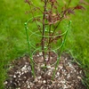 Suporte anelar para plantas 3 anéis 1,2m - 3 