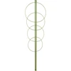 Suporte anelar para plantas, 4 anéis, 1 m - 13 