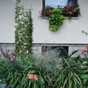 Suporte para plantas - treliça (150cm x 45cm) 3 peças - 4 