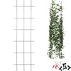 Suporte para plantas – treliça de jardim 150 x 45 cm - 10 