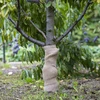Tecido de juta 30 cm / 5 m - 5 