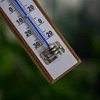 Termômetro de ambiente com escala branca (-30°C a +50°C) 20cm - 4 
