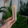 Termômetro de ambiente com padrão (-20°C a +50°C) 15cm - 4 