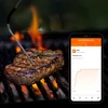 Termômetro de cozinha com Bluetooth, 2 sondas - 13 