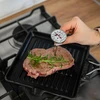 Termômetro de cozinha com gráfico (0°C a +100°C) 12,5cm - 4 