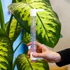 Termômetro externo com escala transparente (-70°C a +50°C) 23cm mix - 3 