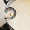 Termômetro para fabricação de queijo (0°C a +100°C) 19,8cm - 3 
