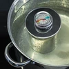 Termômetro para prensa de presunto 1,5kg e 3kg (0°C a +120°C) 12,5cm - 5 