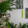 Termômetro universal (-30 a +50°C), 17 cm, verde - 6 