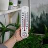 Termômetro universal branco com higrômetro (-20°C a +50°C) 25cm - 3 