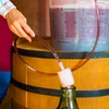 Tubo para trasfega de vinho com bomba - 10 