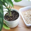 Vermiculita para plantas em vasos e jardinagem, 2 L - 8 