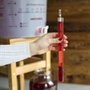Vinômetro com termômetro em tubo inquebrável - 4 