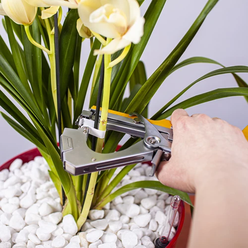 Agrafos para agrafador de jardinagem - 10000 unid. - 5