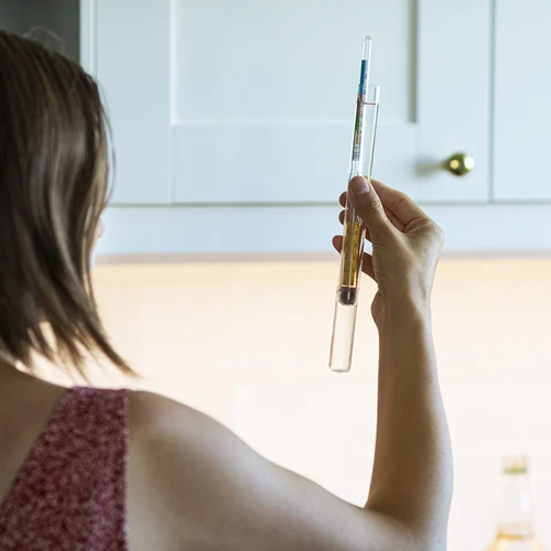 Alcoômetro com termômetro - 4