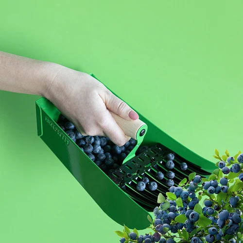 Apanhador de pequenos frutos, metálico, verde - 7
