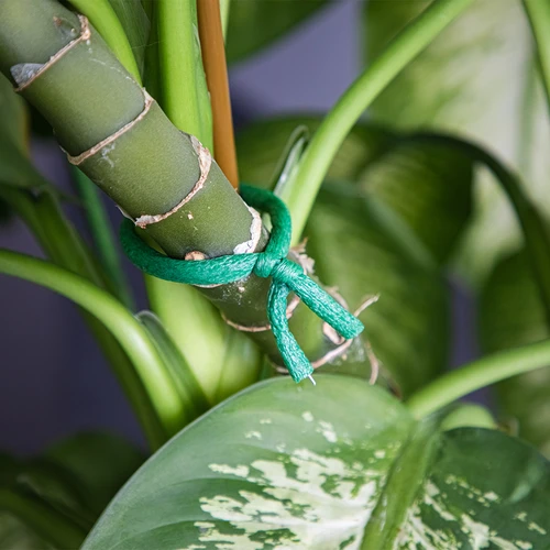 Arame de jardinagem revestido com espuma, verde, 10 m, Ø 10 mm - 5