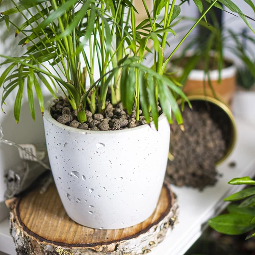 Argila expandida para plantas em vaso, jardinagem e florestas em vidro, 4-10 mm, 1L - 10